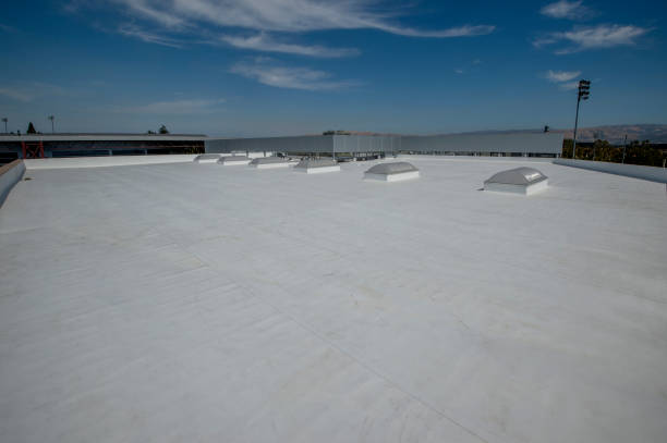 Best Rubber Roofing (EPDM, TPO)  in Columbus Grove, OH